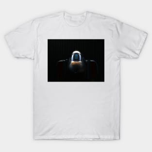 RAF F-4 Phantom in the shadows T-Shirt